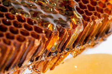 Honey out of the brown Honeycomb on a white background