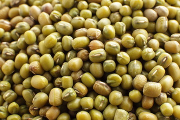 Green bean