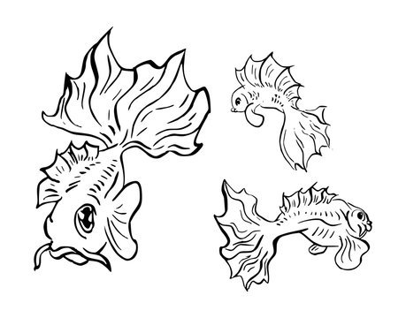 Sierlijke inkttekening van vissen