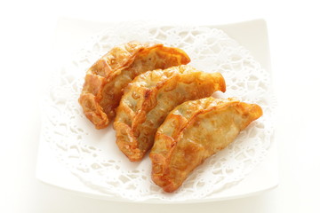 Chinese food, deep fried Gyoza dumpling