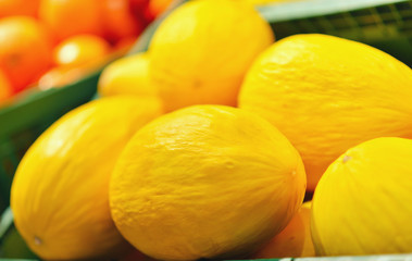 Fresh yellow melons displayed in a greengrocery
