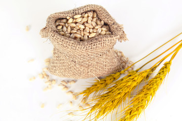 Ears of wheat and bowl of wheat grains