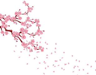 Branches with pink flowers and cherry buds. Sakura. Petals flying in the wind. isolated on white background. illustration