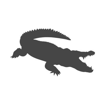 Crocodile icon - Illustration