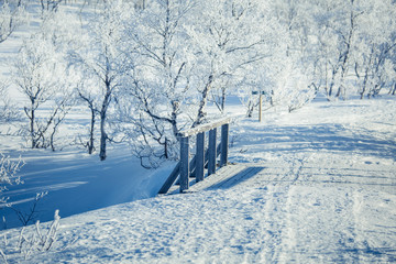 A beautiful white landscape if a snowy Norwegian winter day with a small wooden foot bridge