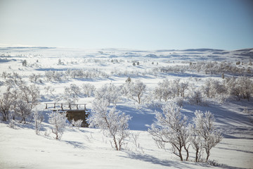 A beautiful white landscape if a snowy Norwegian winter day with a small wooden foot bridge