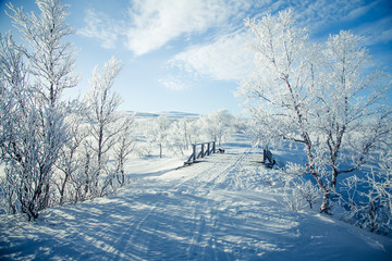 Fototapeta premium A beautiful white landscape if a snowy Norwegian winter day with a small wooden foot bridge