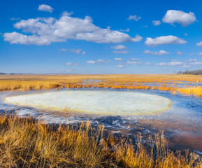 Fototapeta na wymiar small spring melted lake