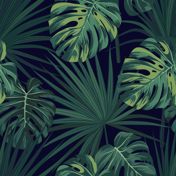Dark tropical background with jungle plants. Seamless vector tropical pattern with green sabal palm and monstera leaves.