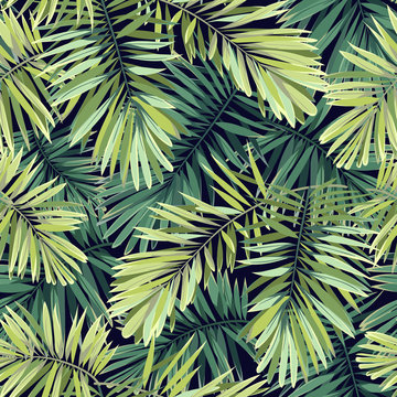 Bright green background with tropical plants. Seamless vector exotic pattern with phoenix palm leaves.