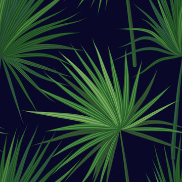 Tropical background with jungle plants. Seamless vector tropical pattern with green sabal palm leaves.