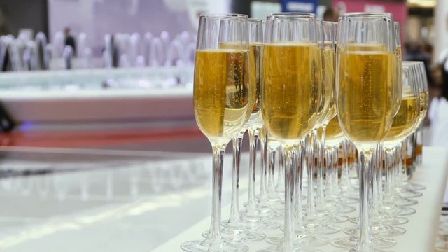 Champagne in glasses on the background of a fountain