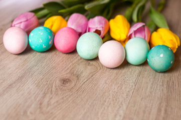 Easter composition of the tulips colored eggs cooked for the holiday on the wooden background