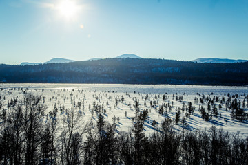 A beautiful white landscape of a frozen swamp with some trees and mountains in the distance