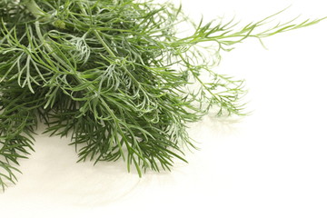 Thymus  with copy space