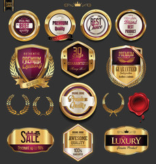 Golden badges and labels with laurel wreath collection 