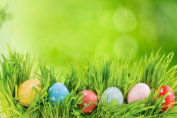 Row of Easter eggs in Fresh Green Grass