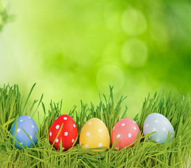 Row of Easter eggs in Fresh Green Grass