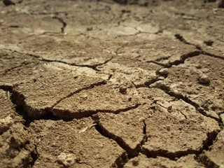 thirsty land