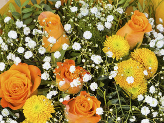 Verschiedene Schnittblumen, Hintergrund