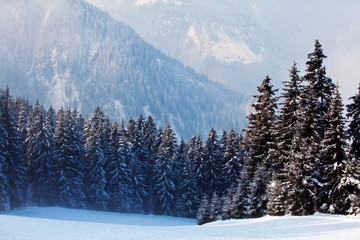 Winter landscape with snow covered trees with mountains view in Mayrhofen, Austria
