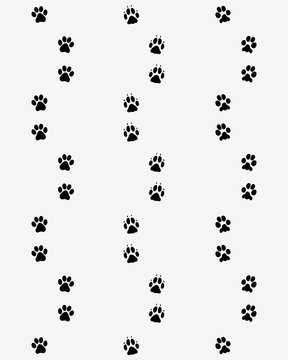 Prints of dog paws,seamless vector