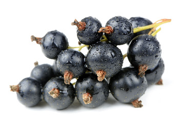 Black currant isolated