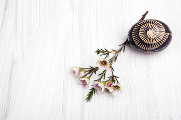 White flowers with decorated Easter egg on a white background. Copy space.