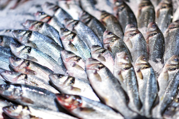 Seafood on ice at the fish market