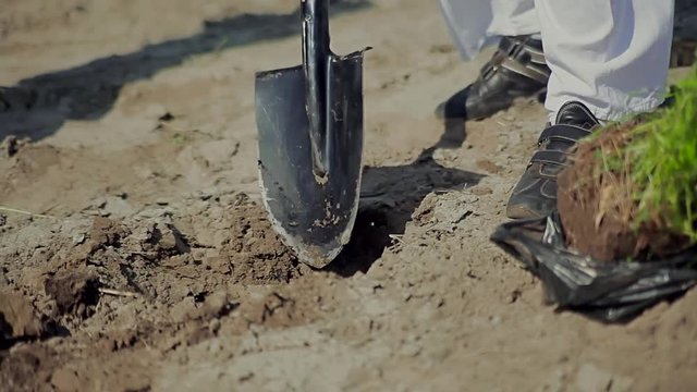 Man digging with a shove / Planting young tree by kid hand on back soil as care and save wold concept