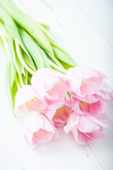 Bouquet of pink tulips on a light background. Holiday card.