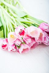 Bouquet of pink tulips on a light background. Holiday card.