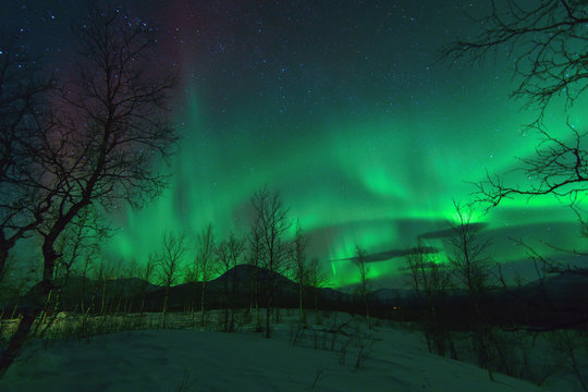 Aurora Borealis northen lights.