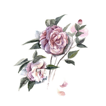 Watercolor hand painted illustration with piones isolated on white background in gentle tone. Floral birthday card.