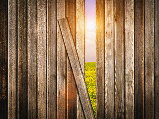 Other side of fence concept with wooden boards and landscape