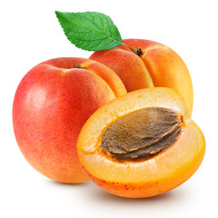 apricot fruits isolated
