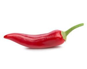 chili pepper isolated