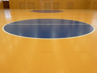 Basketball court inside. White lines and blue playfield in hall. Hanball gate at wall. Painted...