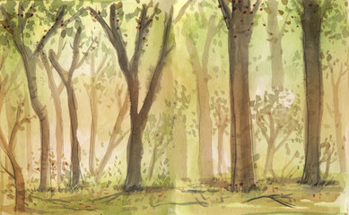 forêt aquarelle