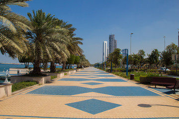 Corniche with palm trees in the city of Abu Dhabi, UAE