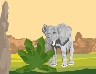 An elephant in african savannah vector illustration