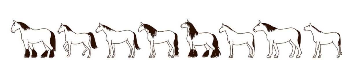 Horse silhouette banner