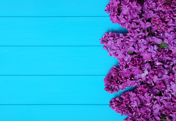  Lilac flowers on blue wooden background.