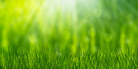 Obraz premium nature background - panorama