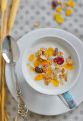 Cup of yogurt with cereals