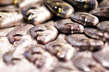 Seafood on ice at the fish market