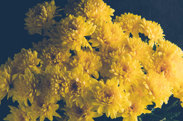 Bouquet of yellow chrysanthemums against a dark background