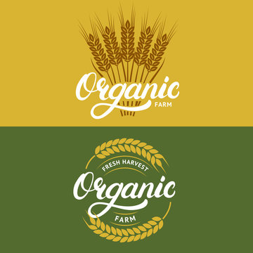 Set of organic farm hand written lettering logos, labels, badges or emblems for natural fresh products.