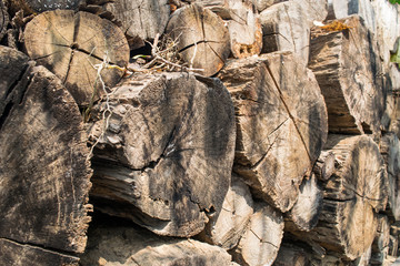Firewood Texture Background.