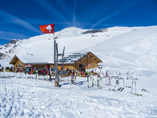 Skihütte,  Schweizer Flagge, ,Grindelwald, Oberjoch, Interlaken-Oberhasli, Berner Oberland, Kanton...